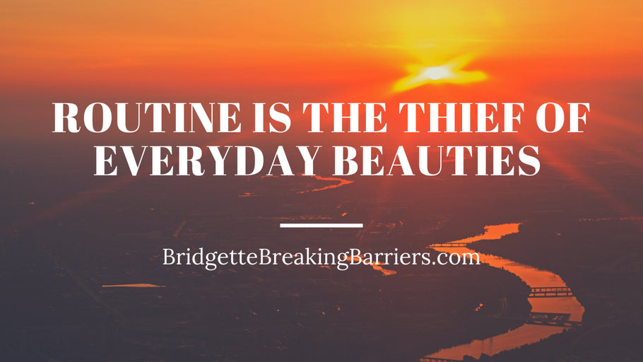 Routine is the Thief of Everyday Beauties